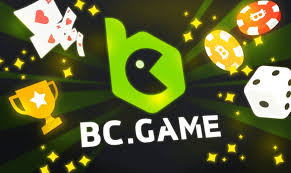 Discover BCStavka Casino A Beginner's Guide for New Players